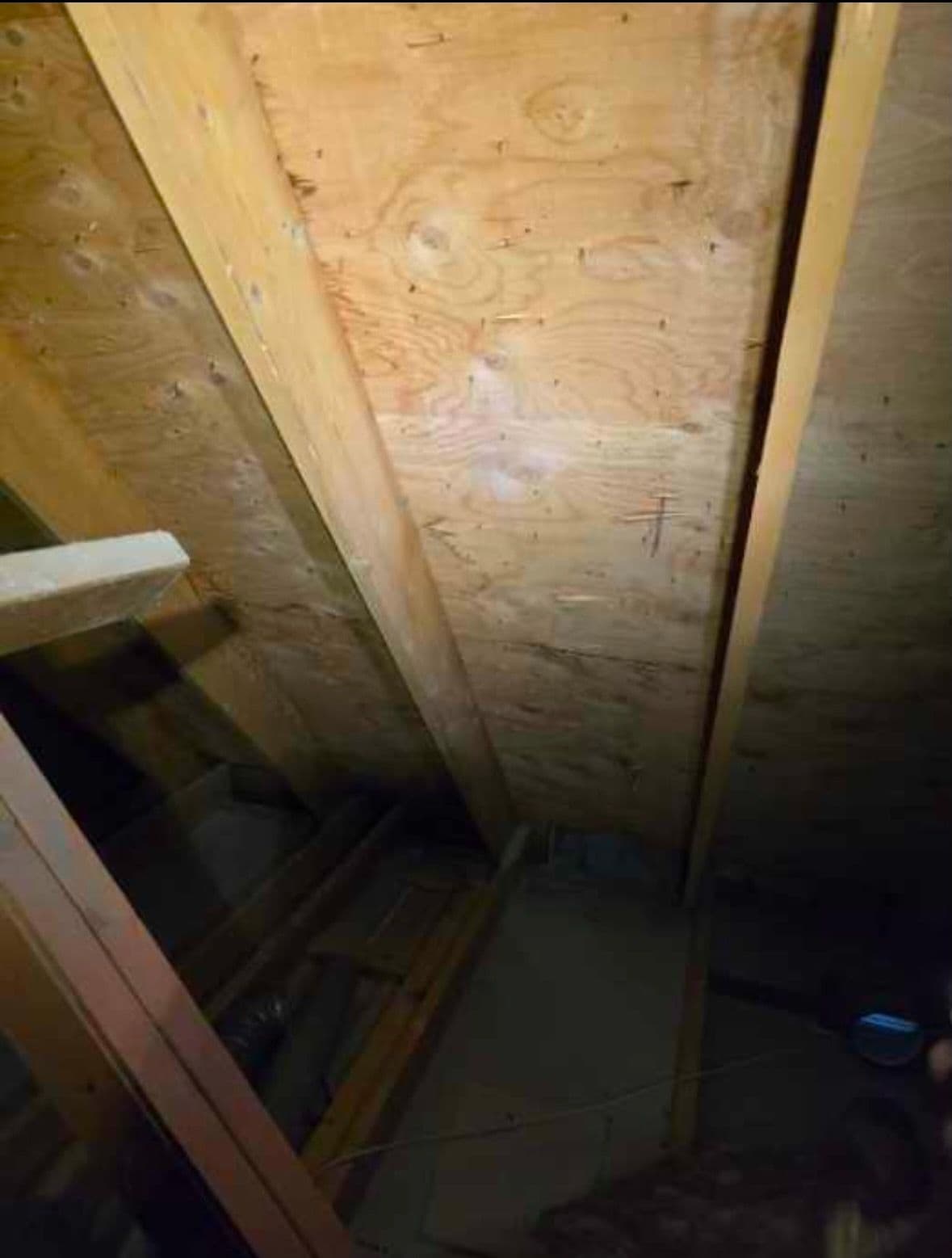 Gallery photos for Attic Insulation Upgrade: Image #3